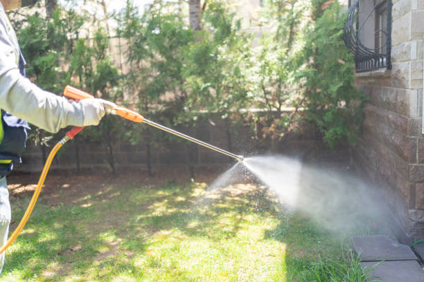 Seasonal Pest Control in Lynwood, CA